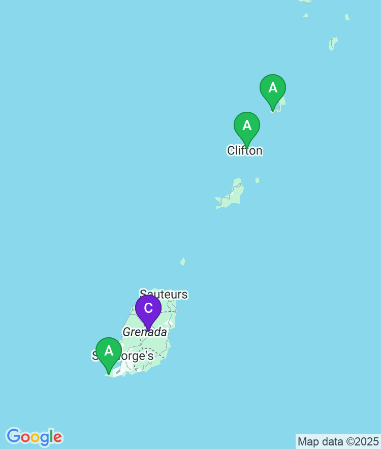 Grenada Available Airport Options